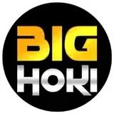 bighoki APK Fighting
